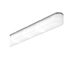 WIGGLE - L SK2901040-1